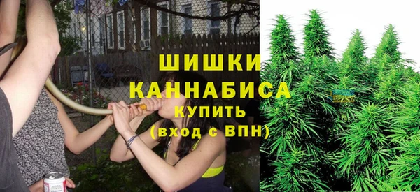 прущие крисы Арсеньев