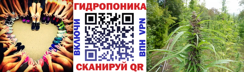 Марихуана гибрид  Тавда 